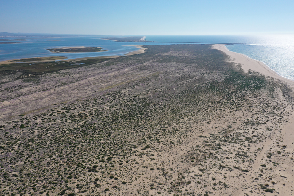 vista aérea das dunas da Ilha Deserta de Faro