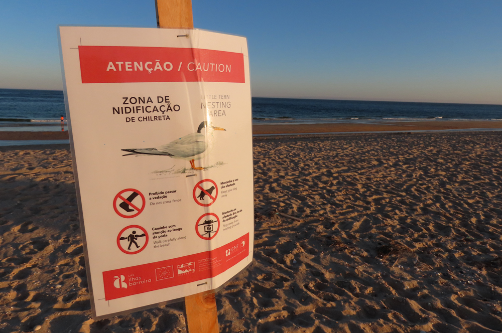 placa de aviso colocada em área de nidificação de chilretas