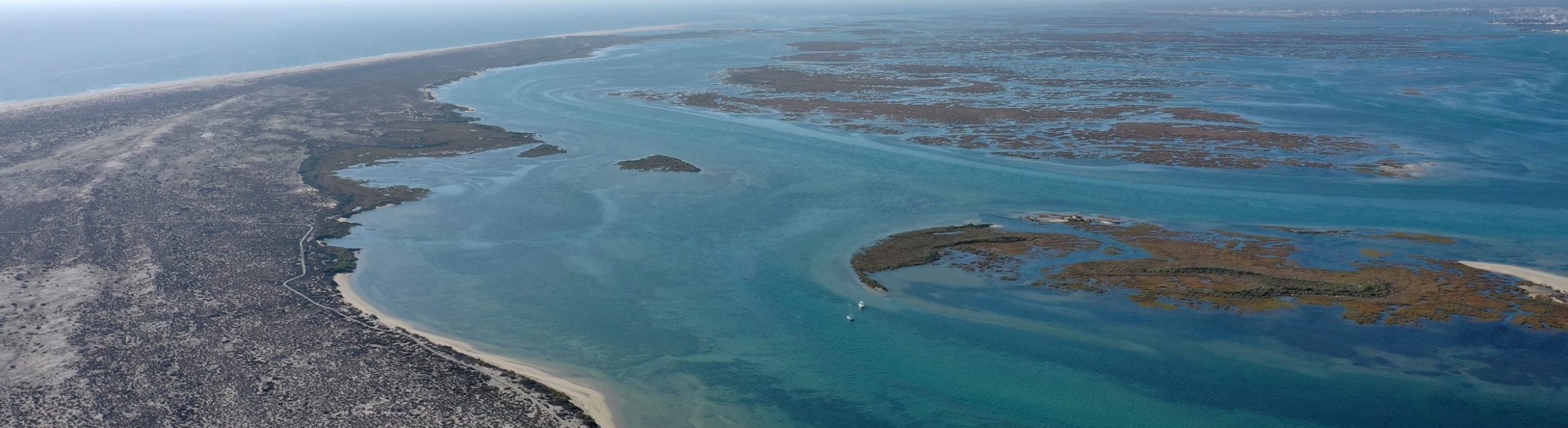 Barrier islands: crucial ecossystem