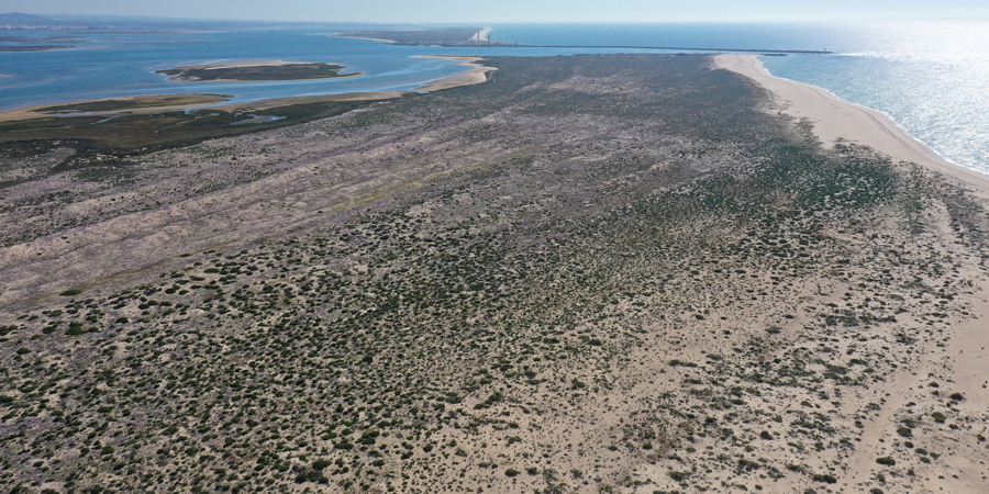 vista aérea das dunas cinzentas na Ilha Deserta
