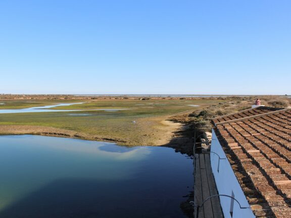 quinta do marim, faro, algarve