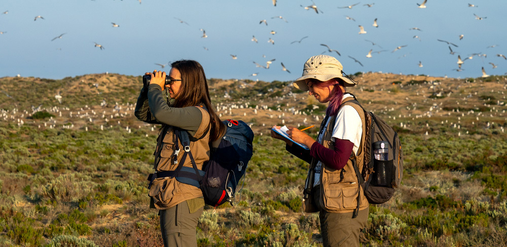 6 years safeguarding one of the Algarve’s protective barriers
