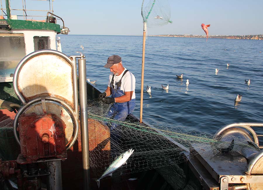 pescadores e rede em barco de pesca com aves marinhas na águia junto ao barco