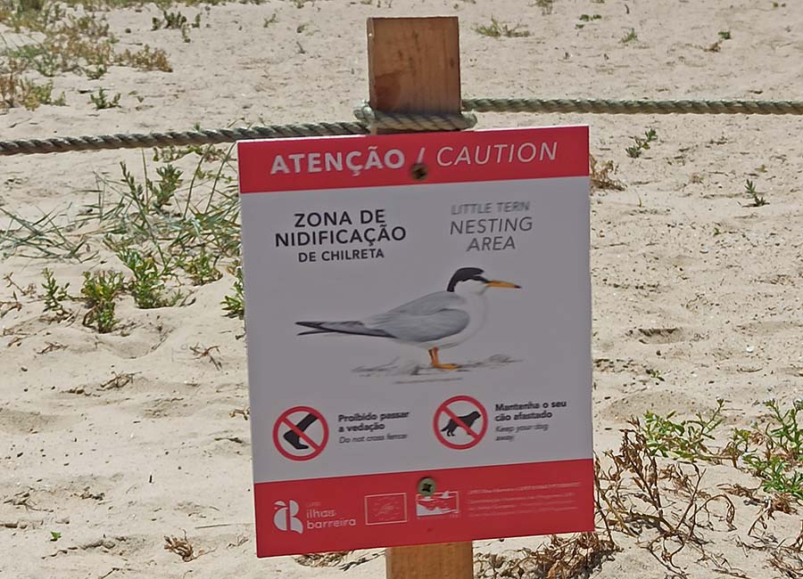 Aviso numa colónia de nidificação de chilretas, chamando a atenção para os veraneantes não pisarem os ovos/crias. ©SPEA